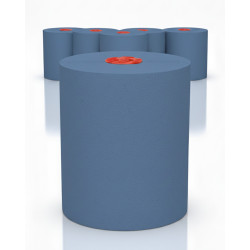 Handtuchpapier 6 Rollen 2-lg 145m/Rolle 100% Zellstoff