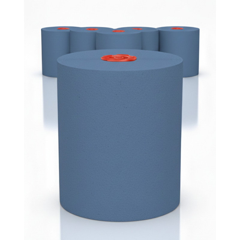Handtuchpapier 6 Rollen 2-lg 145m/Rolle 100% Zellstoff