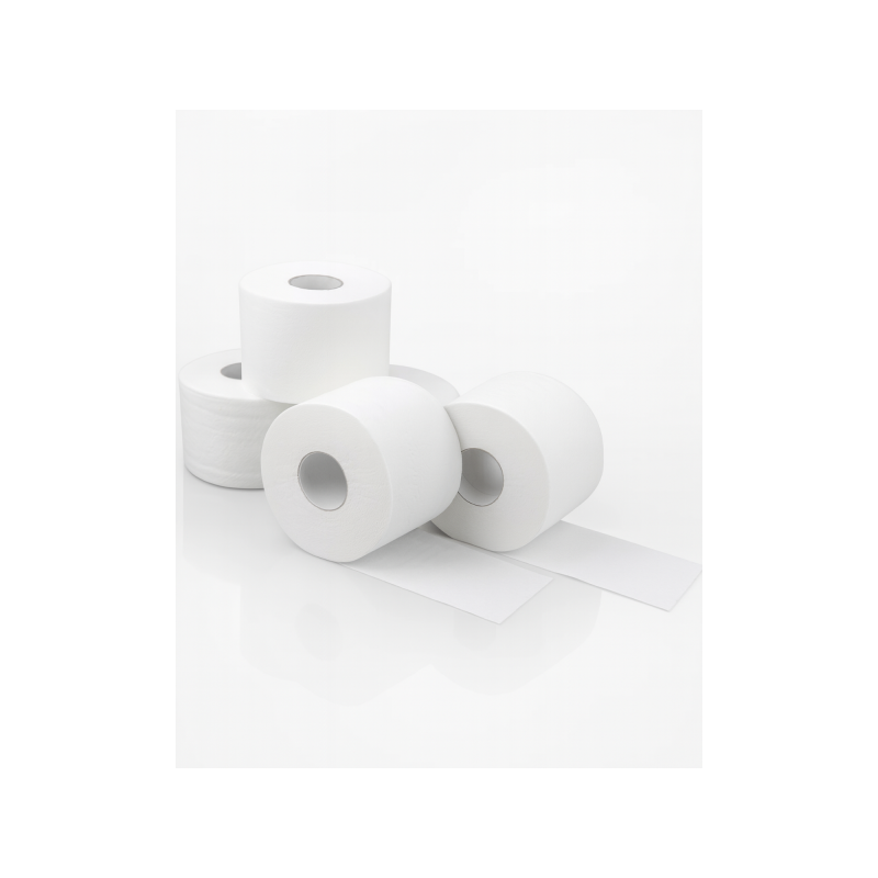 Toilettenpapier smart MAXI, Haushaltsrolle, 2-lagig, 75m je Rolle, 100% Zellstoff, ergiebig wie 120 Rollen je SET
